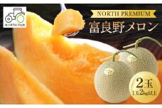 富良野メロン『NORTH PREMIUM』 2玉 (1玉2kg以上)_ メロン めろん 富良野メロン 富良野めろん 北海道 富良野市 果物 フルーツ くだもの ふるーつ 青果 果実 甘い 旬 専門店 希少 品種 ギフト 贈答 糖度 定番 プレゼント 産直 産地直送 【1417984】