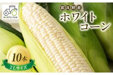 富良野産ホワイトコーン『ホワイトショコラ』 2Lサイズ 10本_とうもろこし 野菜 トウモロコシ コーン ホワイトコーン 北海道 富良野市 人気 おすすめ 送料無料 贈答 ギフト ホワイトショコラ 2Lサイズ【1418003】