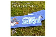 ＜富良野ブルーリッジ応援寄付＞スポーツタオル1枚【1425732】