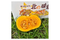 2025年　富良野産　くりゆたか　かぼちゃ　10kg【1425899】