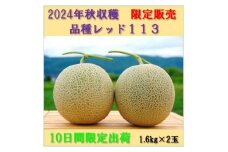 2024秋出荷秋メロン富良野産R-113メロン2玉入【1429501】