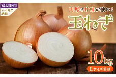 北海道富良野産　玉ねぎ Lサイズ前後 10kg【1441749】