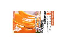 ＜のし付き＞富良野メロン(赤肉)秀品キングルビー2.0kg/2玉入【1405318】
