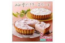 ＜毎月定期便＞ふらの雪どけチーズケーキ2種セット(プレーン・いちご) 全3回【4006428】