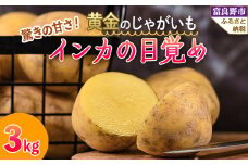 ＜2025年先行予約＞じゃがいも　インカの目覚め 3kg【1450177】