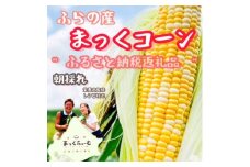 ＜先行受付＞＜8月より順次発送＞北海道　富良野産　まっくコーン(スイートコーン)10本+1本付き!【1458329】