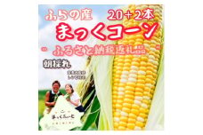 ＜先行受付＞＜8月より順次発送＞北海道　富良野産　まっくコーン(スイートコーン)20本+2本付き!【1458330】