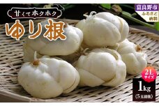 北海道 富良野産 2Lサイズ ゆり根 1kg(5玉前後)【1460023】