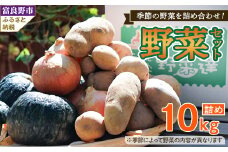2025年先行受付　北海道富良野　野菜セット 10kg詰め【1466265】