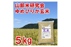 ＜毎月定期便＞特A受賞!富良野市産ゆめぴりか　玄米5kg全6回【4007410】