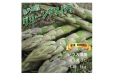 ＜数量・期間＞ふらの産　グリーン アスパラ　ハウス栽培　1kgサイズ2L【1470143】