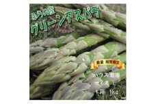 ＜数量・期間＞ふらの産　グリーン アスパラ　ハウス栽培　1kgサイズL【1470180】
