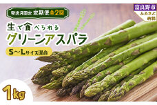 ＜発送月固定定期便＞「生」で食べられる!グリーンアスパラ　1kg(SからLサイズ混合) 全2回【4008506】