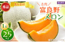 ＜発送月固定定期便＞富良野メロン 秀品 赤肉約2.5kg×1玉 全2回【4009268】