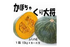 ＜2025年発送先行受付＞＜数量・期間＞ふらの産　かぼちゃ　1箱10kg(くり大将南瓜)　【1473419】