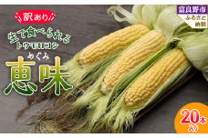 生で食べられるトウモロコシ　訳あり　恵味(めぐみ)　20本入り【1483447】