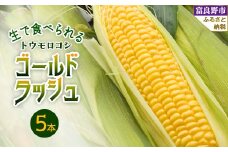 生で食べられるトウモウロコシ　ゴールドラッシュ 5本入り_ とうもろこし トウモロコシ コーン ゴールドラッシュ 国産 北海道産 富良野 生 朝どれ 産地直送 冷蔵 高糖度 贈答 ギフト 限定 送料無料 【1483617】