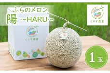 ふらのメロン「陽 ～HARU～」大玉(2.3kg以上)×1玉　(赤肉)富良野メロン【1478649】