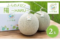 ふらのメロン「陽 ～HARU～」大玉(2.3kg以上)×2玉　(赤肉)富良野メロン【1478650】