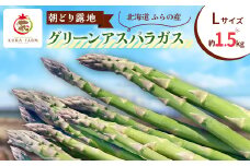 ＜2026年発送＞ふらの産　朝どり露地グリーンアスパラガス(Lサイズ 約1.5kg)〈藏ファーム〉【1503000】