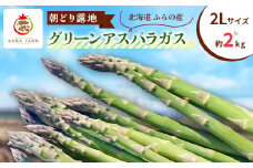 ＜2026年発送＞北海道ふらの産　朝どり露地グリーンアスパラ(2Lサイズ 約2kg)〈藏ファーム〉【1503017】