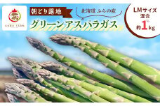 ＜2026年発送＞ふらの産　朝どり露地グリーンアスパラ(LMサイズ混合 約1kg)〈藏ファーム〉【1503020】