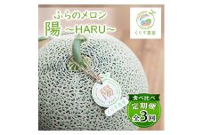 ＜発送月固定定期便＞食べ比べ!ふらのメロン「陽 ～HARU～」大玉　1玉(赤肉)　富良野メロン全3回_ 定期便 メロン 果物 くだもの フルーツ 北海道 富良野 赤肉 大玉 富良野メロン 贈答 ギフト 送料無料 お取り寄せ 人気 おすすめ 【4013535】