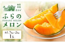 ふらのメロン 1玉(約1.7kg～2kg)赤肉メロン 農家直送 フルーツ 北海道富良野産〈相馬農園〉【1503168】