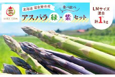 ＜2026年発送＞富良野市産 アスパラ 緑・紫(LMサイズ混合 計1kg) 食べ比べ〈藏ファーム〉【1505718】