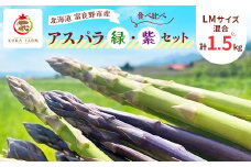 ＜2026年発送＞富良野市産 アスパラ 緑・紫(LMサイズ混合 計1.5kg) 〈藏ファーム〉【1505724】