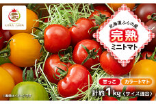 北海道ふらの産　完熟ミニトマト〈甘っこ・カラートマト〉約1kg サイズ混合【1505753】