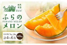 ふらのメロン 4～6玉 約8㎏ 赤肉メロン 農家直送 フルーツ 北海道富良野産〈相馬農園〉【1506322】
