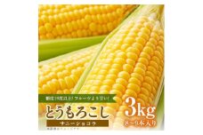 糖度19度以上!フルーツより甘い!＜フルーツコーンのサニーショコラ(黄)＞3kg詰め　8～9本入り【1497843】