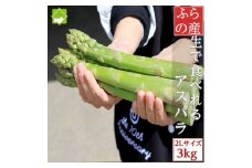 2026年先行予約　「生」で食べられる!北海道富良野産　グリーンアスパラ　3kg(極太2Lサイズ)【1499805】