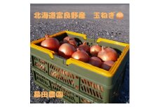 ＜2025年10月以降発送＞北海道　富良野産　玉ねぎ　約20kg【1501771】
