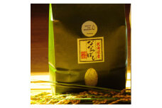 令和6年産　富良野産精米「ななつぼし」5kg【1515998】