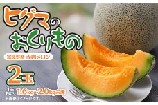 ヒグマのおくりもの 富良野メロン (赤肉)2玉 計3.2㎏以上_メロン 富良野 北海道 ふらのメロン 2玉 フルーツ 赤肉 果物 くだもの 人気 おすすめ 送料無料 贈答 ギフト【1519710】