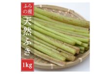 2026年先行予約　北海道富良野産　天然物 蕗 (ふき)1kg【1522299】