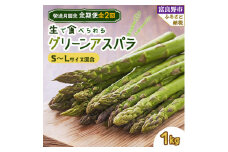 ＜発送月固定定期便＞北海道富良野産　生で食べられるアスパラ　5月・6月発送全2回【4053237】
