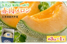 北海道富良野産 赤肉メロン 1玉(約3kg)【1520602】