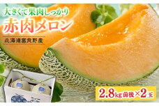 北海道富良野産 赤肉メロン 大玉 2玉(1玉2.8kg前後)【1520604】