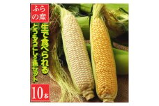 北海道富良野産生で食べられる 白いトウモロコシと黄色いトウモロコシ10本【1538399】