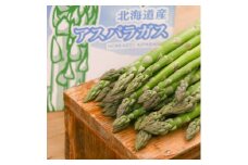 富良野産　ハウス栽培グリーンアスパラ(M～2Lサイズ混合) 1kg【1549438】