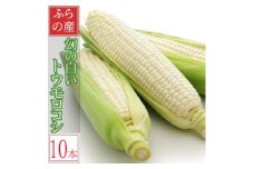 2026年先行予約　早採りハウス栽培　北海道富良野産 生で食べられる白いトウモロコシ　10本入り【1547474】