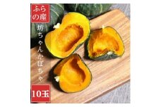 北海道富良野産　坊ちゃんかぼちゃ 10玉【1550082】