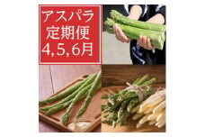 2026年度分　＜発送月固定定期便＞4月・5月・6月北海道富良野産　アスパラ定期便全3回_アスパラ 定期便 野菜 アスパラガス グリーン ホワイト 北海道 富良野産 全3回 やさい 生 ギフト 国産 産直 送料無料【4056330】