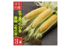 「生」で食べられるトウモロコシ　恵味　3本入り【1532711】