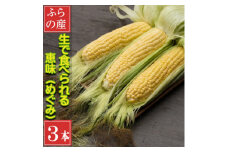 2026年先行予約　「生」で食べられるトウモロコシ　恵味　3本入り【1532711】