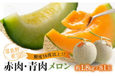 糖度16度以上!!大玉＜富良野産＞赤肉メロン・青肉メロン各1玉入 (1玉あたり約1.8kg)_ メロン めろん 赤肉 赤肉メロン 青肉 青肉メロン 北海道 富良野産 果物 くだもの フルーツ デザート 贈答 ギフト プレゼント 各1玉 国産 産地直送 送料無料 【1552229】