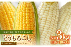糖度17度以上!とうもろこし＜ホワイトショコラ(白)とサニーショコラ(黄)＞各3kg 計16～18本_ とうもろこし トウモロコシ 富良野産 ホワイトショコラ サニーショコラ コーン 野菜 産地直送 産直 ギフト 送料無料 【1552239】